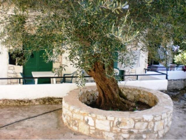 Damaskis Kassiopi Studios Luaran gambar