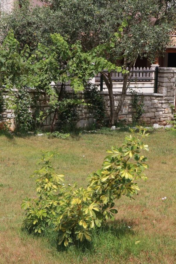 Damaskis Kassiopi Studios Luaran gambar